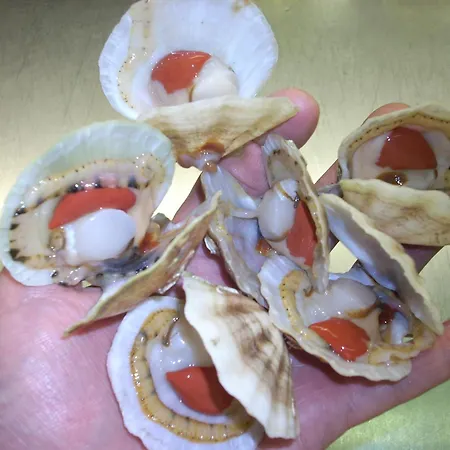 Ai Campi Di Marcello 3* Monfalcone