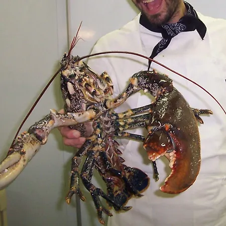 아이 캄피 디 마르첼로 호텔 3*