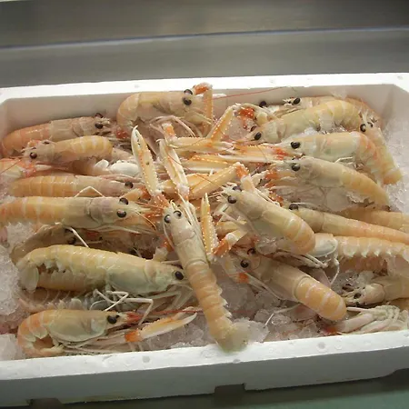 Ai Campi Di Marcello Hotel Monfalcone